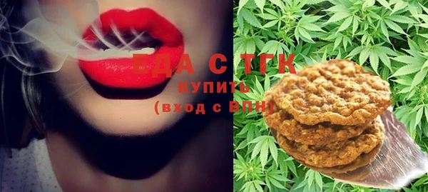 шишки Бородино
