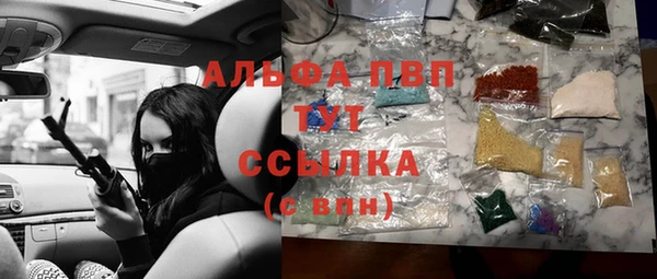 шишки Бородино