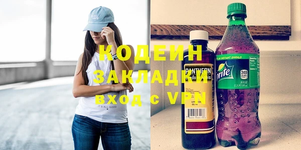 шишки Бородино