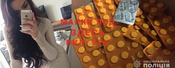 шишки Бородино