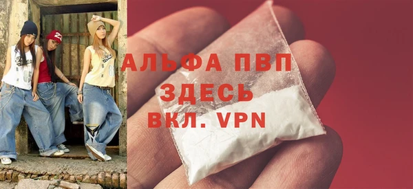 шишки Бородино