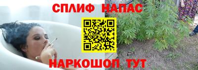 Альфа ПВП Краснознаменск