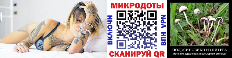Псилоцибиновые грибы GOLDEN TEACHER omg сайт Шатура