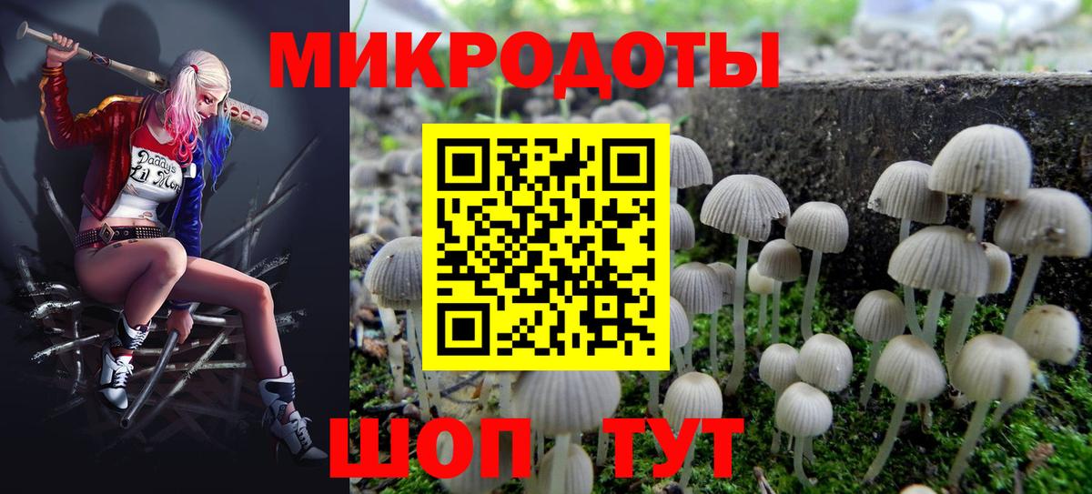 Галлюциногенные грибы GOLDEN TEACHER Шатура
